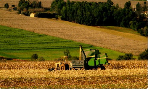 Zeci de proprietari de terenuri agricole din Ocniţa au rămas fără pământuri.