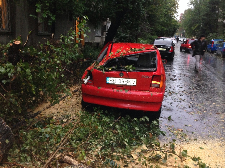 Chiciura a doborat astazi peste 25 de arbori in capitala.