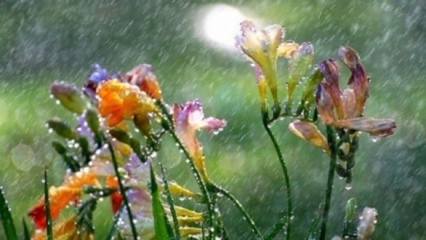 Când ar putea ploile să răcorească pământul uscat al ţării. Foto: romaniatv.net