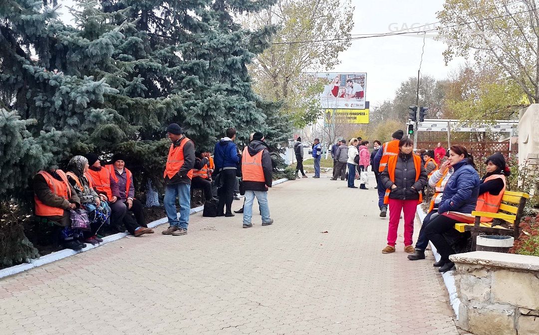 На озеленение Комрата заложено более 350 тысяч леев.
