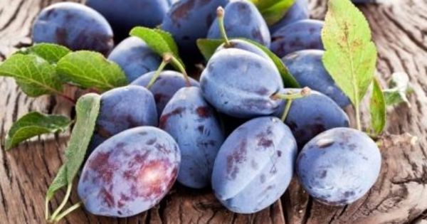 După caise şi cireşe, în Germania au ajuns şi prunele moldovenești