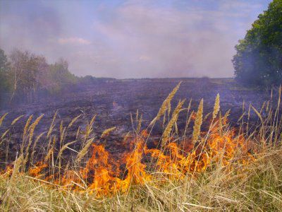 În zilele următoare vor fi înregistrate maxime de 32 de grade ziua şi 17 grade Celsius noaptea.