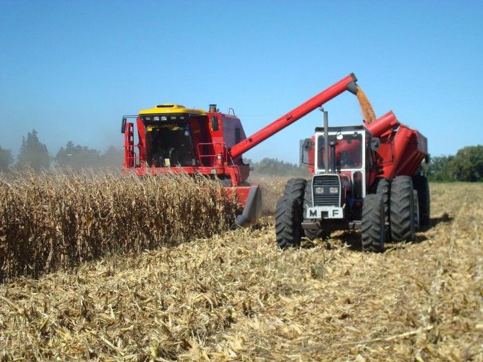 În 2017 agricultorii vor beneficia de subvenții mai mari. Foto: agora.md
