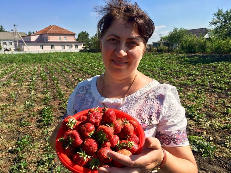 Afaceri în Găgăuzia pe bani europeni