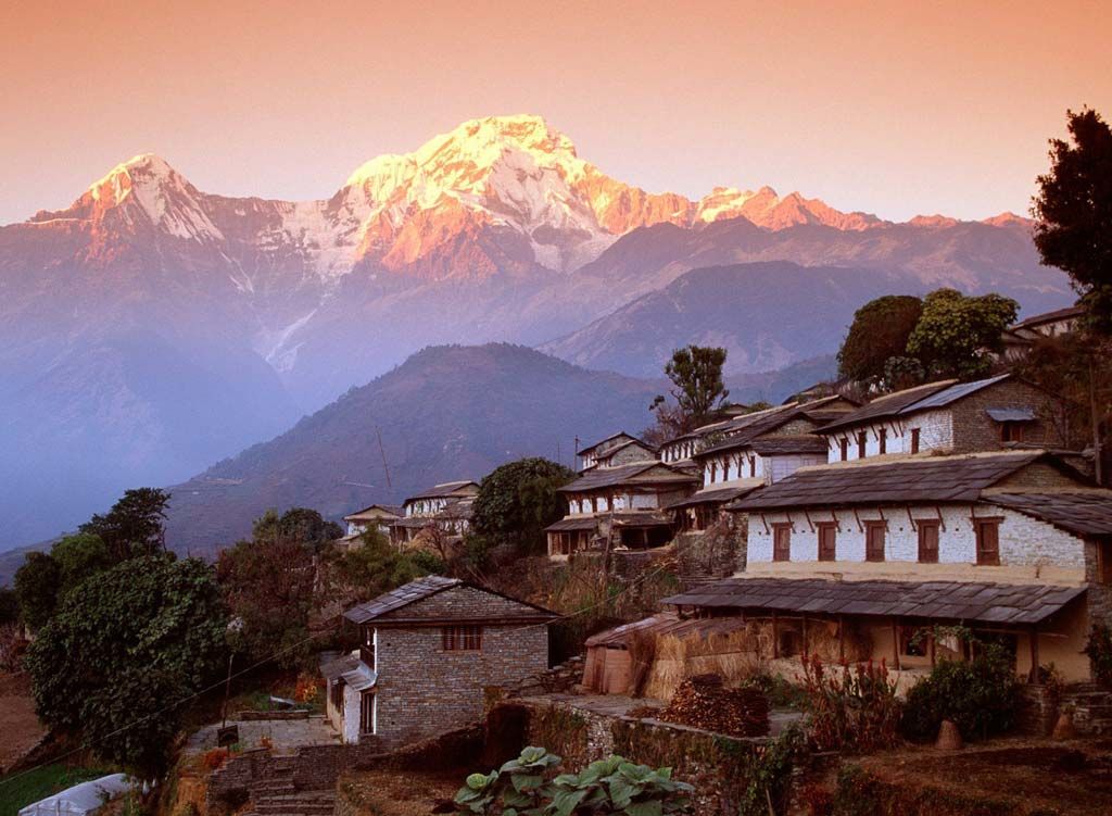 Focar de gripă porcină în Nepal: Patru persoane au decedat