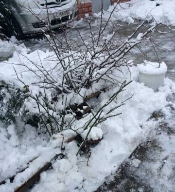 Situația în Chișinău, ca urmare a condițiilor meteo