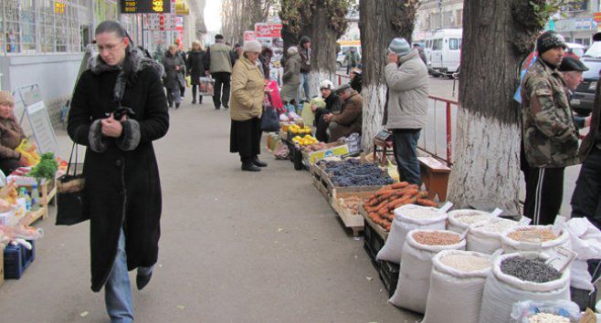 Инспекторы проверят авторизацию и другие документы.