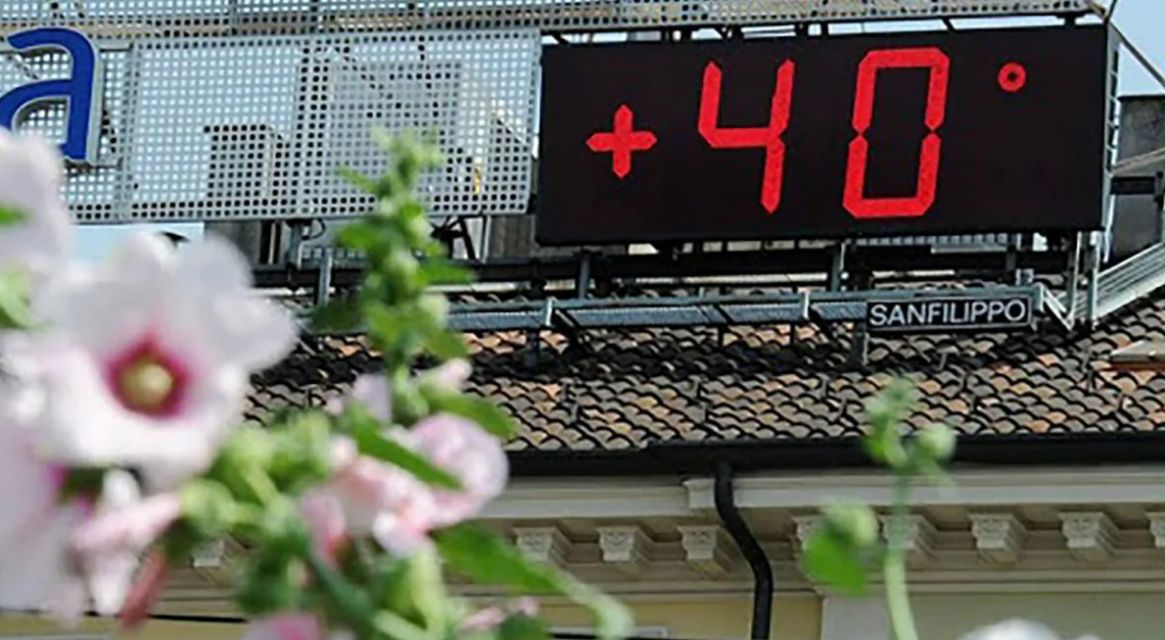 Эколог рассказала о последствиях аномальной жары.