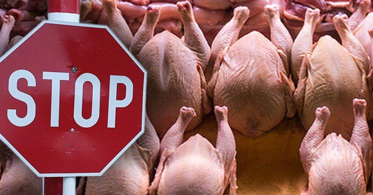 ANSA запретило ввоз птичьего мяса из Винницкой области Украины. Фото: Point.md.