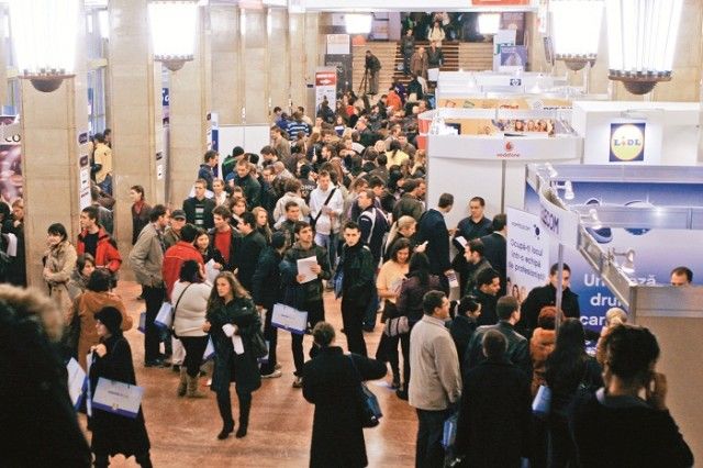 Guvernul a aprobat un plan de acțiuni pe piața muncii