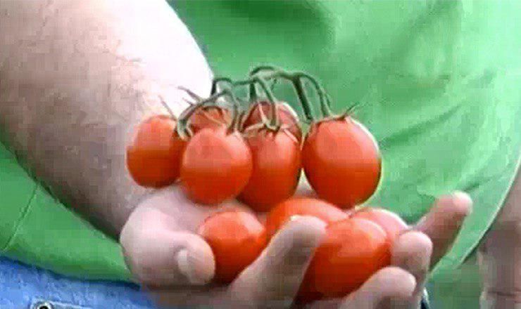 Семье из села Устия удалось развивать бизнес за счет гранта, полученного через проект USAID. 
