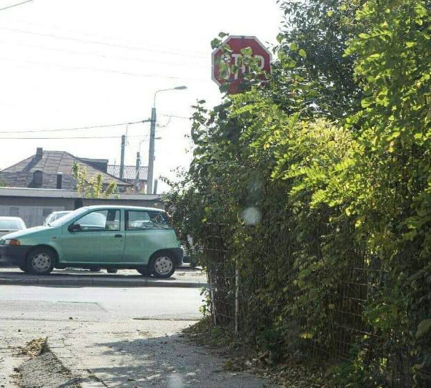 Angajații Inspectoratului Național de Patrulare au depistat multiple indicatoare rutiere de tip vechi, deteriorate, dezlipite de peliculă şi inscripţionate cu vopsea, la care nu este clară semnificaţia acestora.