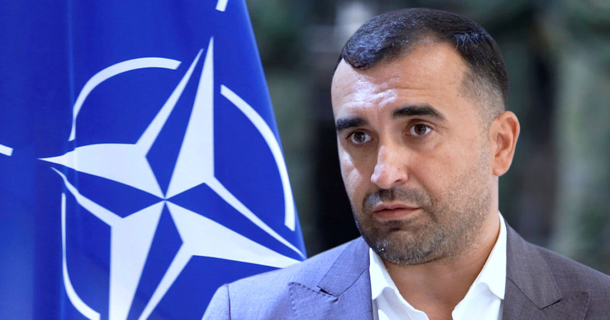Албу: Власть должна отказаться от насильственного включения в какой-либо военный блок.