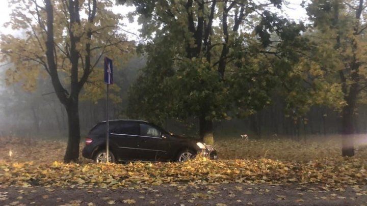 Депутат Олег Сырбу врезался в дерево в Единецком районе.