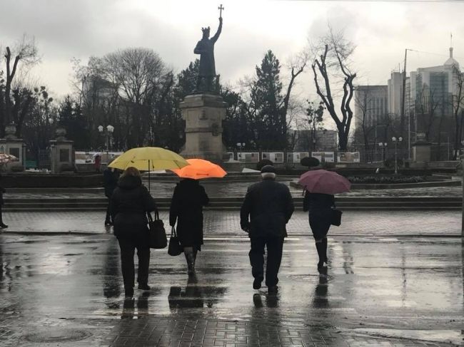 На следующей неделе синоптики прогнозируют дожди.