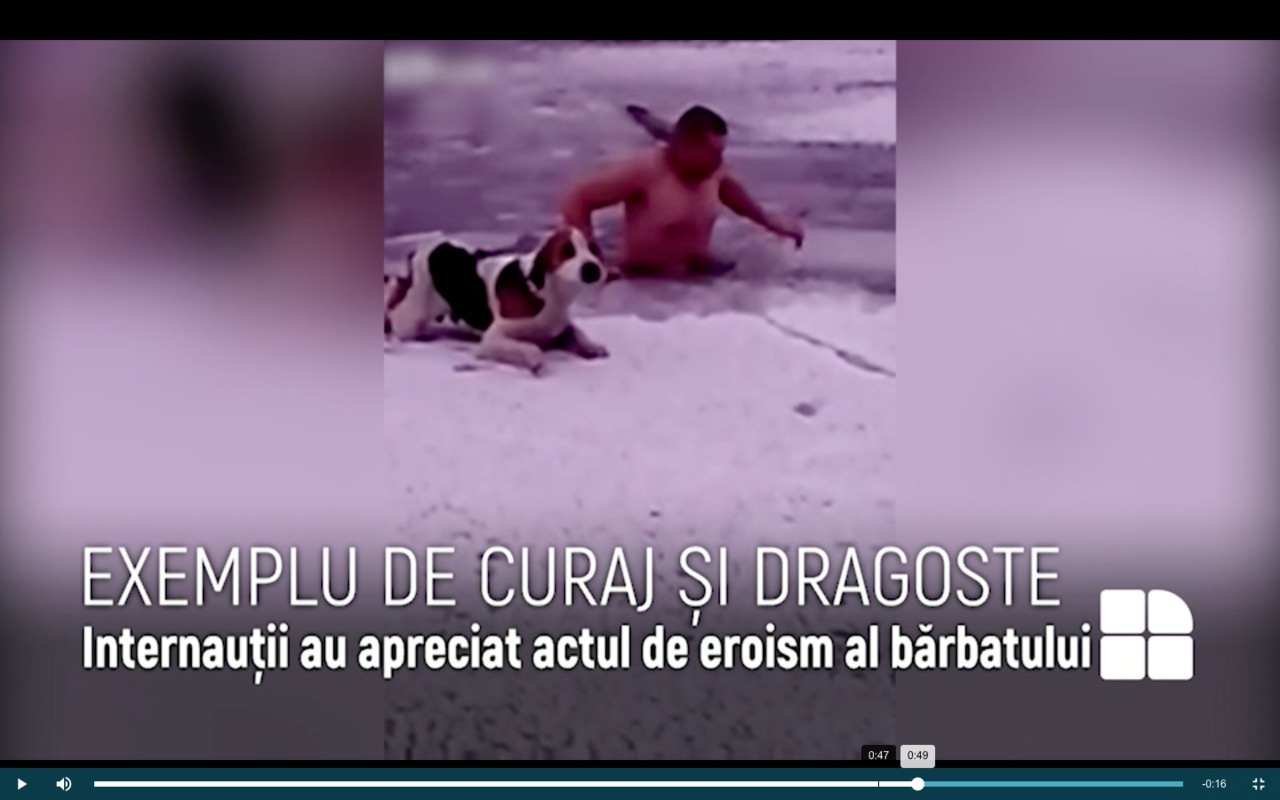 Un bărbat a salvat un câine prăbușit sub gheață. 