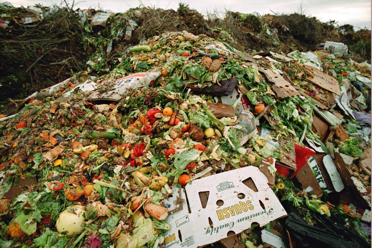 Anual 180.000 de tone de alimente ajung la groapa de gunoi în Republica Moldova.
