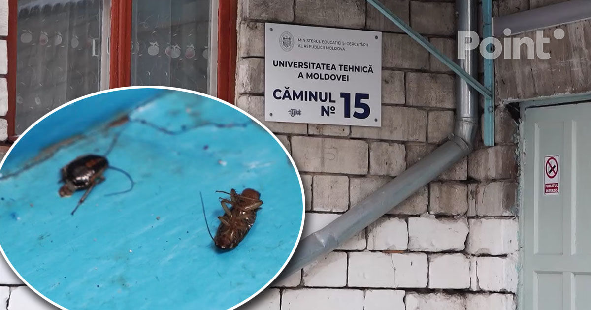 Scandalul de la un cămin UTM ia amploare: O studentă s-a trezit cu un gândac în ureche.