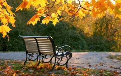 В четверг, в пятницу и в субботу погода существенно не изменится. Фото: vkurse.ua.