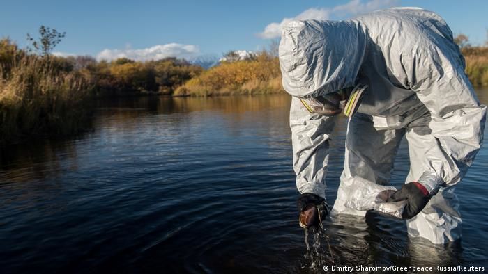 Экологи из РФ просят Минюст признать Greenpeace и WWF "иноагентами".
