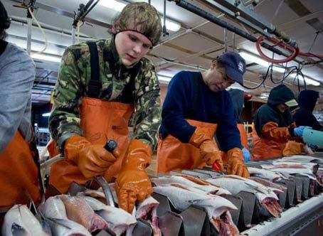Низкооплачиваемые сезонные работники в США. 