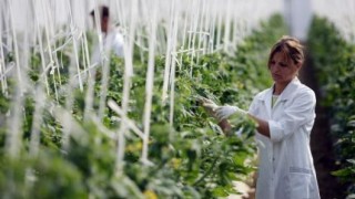 В 2014 году AIPA уже получило от Еврокомисии помощь на сумму 110,7 млн леев по схожей схеме.