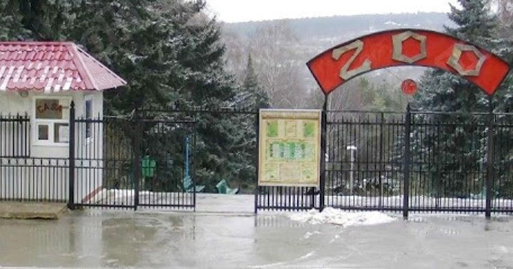 Кишиневский зоопарк пополнится новыми видами животных.