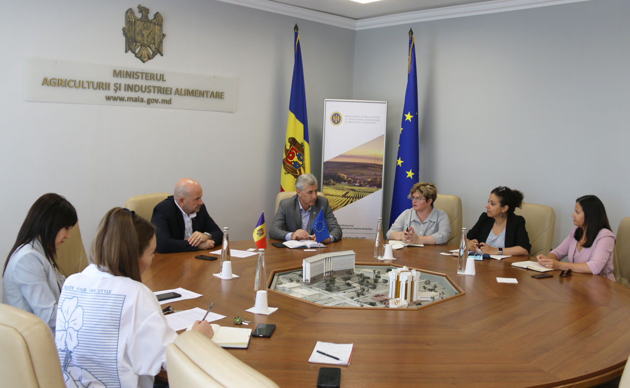 Боля - UNDP: Одна из целей министерства - добиться успеха в цифровизации отрасли