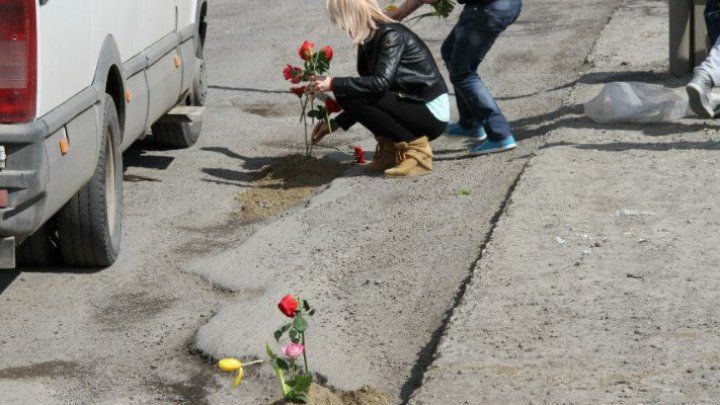Bălți: Flori plantate în gropile de pe străzi în semn de protest