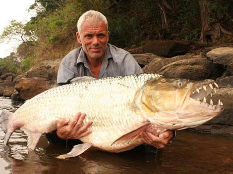 Cel mai agresiv peşte de apă dulce este fără îndoială Goliath, peştele-tigru care arată la fel de înspăimântător precum este denumirea sa.