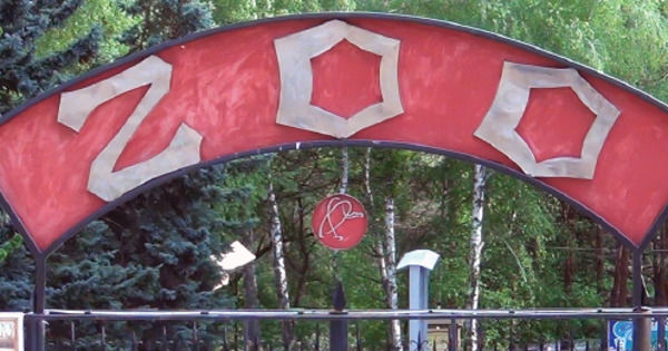 Директора столичного зоопарка могут уволить из-за конфликта интересов.