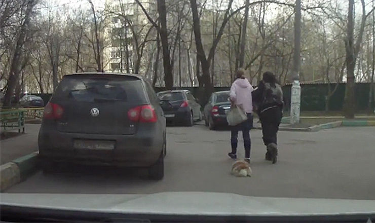 На видео женщины тянут за собой на поводке собаку без признаков жизни.