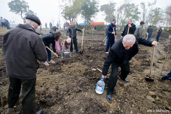 Более ста человек приняли участие в посадке деревьев в лесопарках столицы.
