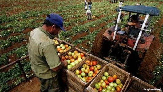 Законопроект предлагает увеличить бюджетные расходы на сельское хозяйство