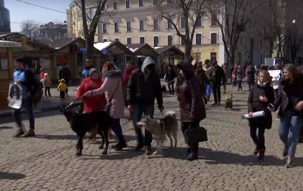 В Одессе прошел марш спасенных собак.