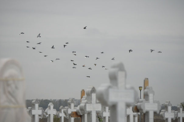Crucea căzută peste o fetiță de doar 11 ani, i-a luat viața. Foto:mediafax.ro