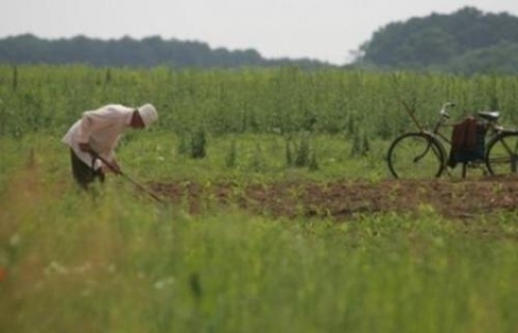 Proprietarii care nu-şi vor prelucra terenul din cauza problemelor financiare, sunt sfătuiţi să-l dea în arendă. 