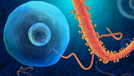 Ultimul bilanţ global al epidemiei de Ebola este de 4.493 de morţi dintre cele 8.997 de cazuri înregistrate în şapte ţări, iar previziunile pentru următoarea perioadă sunt sumbre.