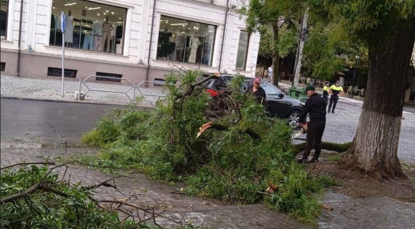 Жителей Кишинева призвали не выходить на улицу без крайней необходимости.