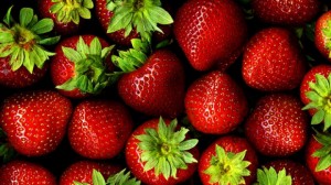 Căpşunile rezistă în frigider o zi sau două. Acestea nu trebuie ţinute la căldură, iar după ce au fost spălate, trebuie consumate. 