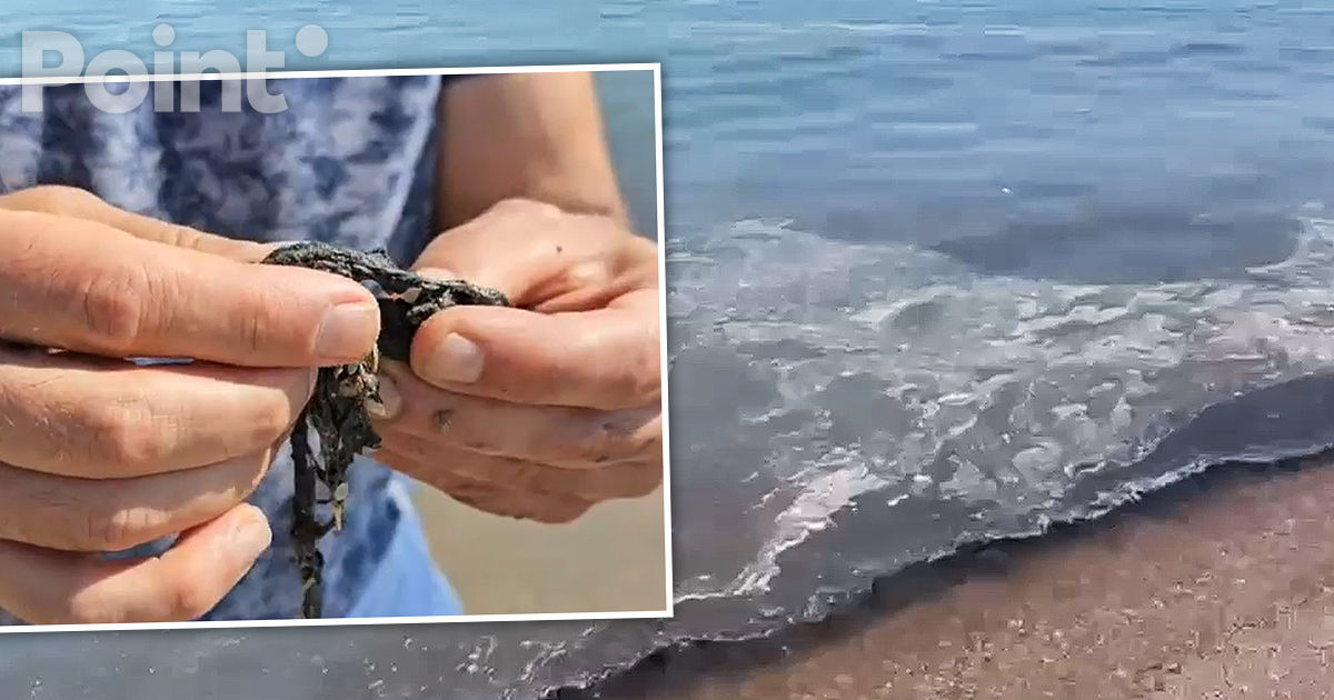 Туристов на пляже в Констанце напугало странное вещество в воде.