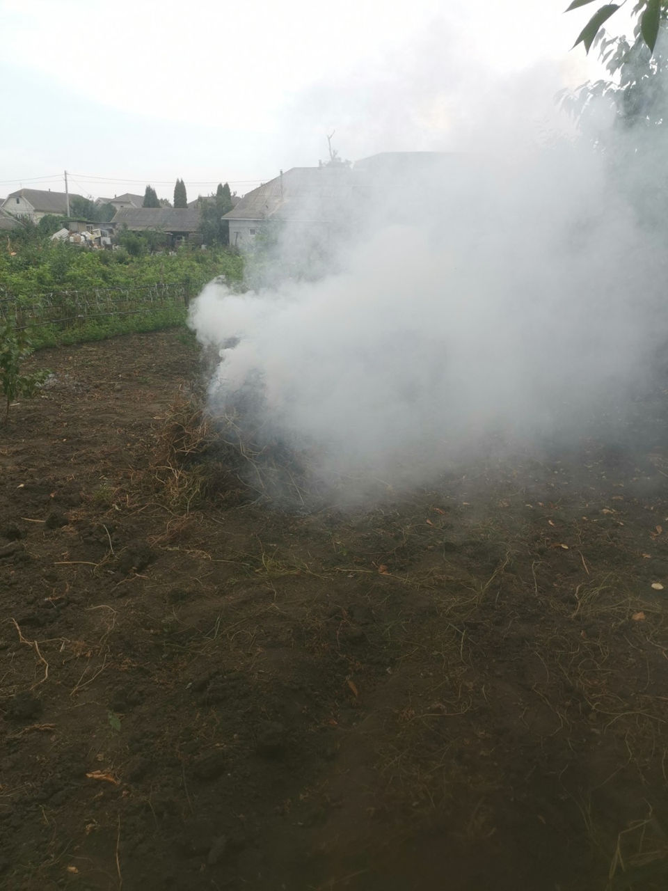 Arderea ilegală a deșeurilor biologice, descoperită într-o localitate din Briceni.