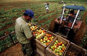 Menţionăm că agricultorii s-au arătat nemulţumiţi de majorarea TVA în agricultură. Foto: caleaeuropeana.ro