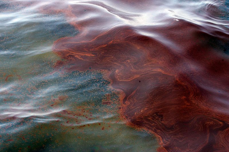 Экологи сообщают о крупном разливе нефти на Сахалине.