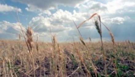 Alexandru Sliusari, preşedinte al Uniunii Producătorilor Agricoli „UniAgroProtect”: 