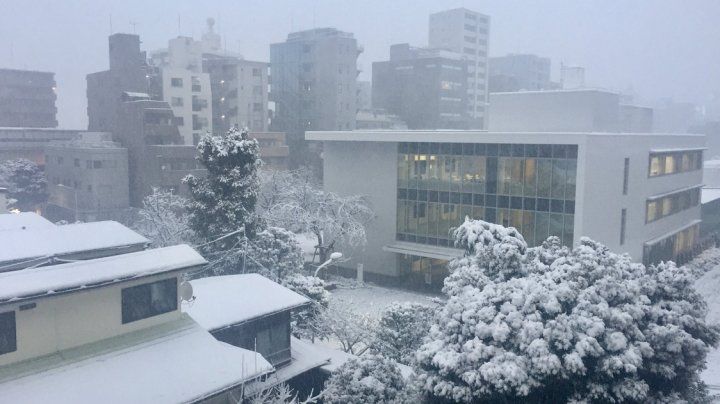 Ninsori abundente la Tokyo: 200 de răniți și mii de oameni, izolați