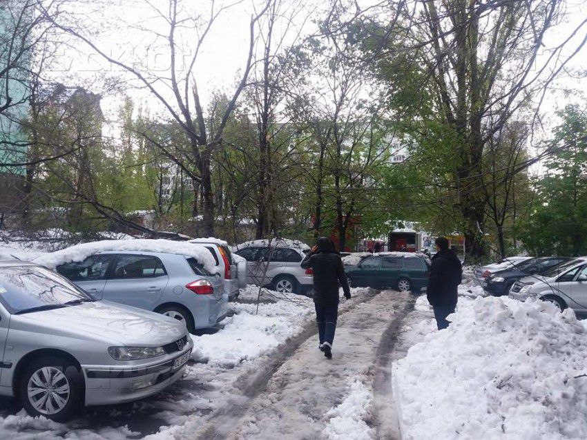 В Кишиневе несколько человек пострадали от падения деревьев.