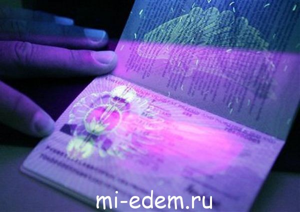Оформление электронной визы будет стоить 60 евро в текущем леевом эквиваленте. Фото: mi-edem.ru