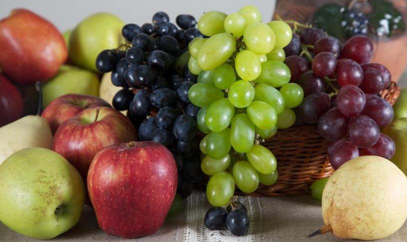 Scopul proiectului constă în promovarea comerţului şi creşterea capacităţii de producţie a agricultorilor şi a exportatorilor.