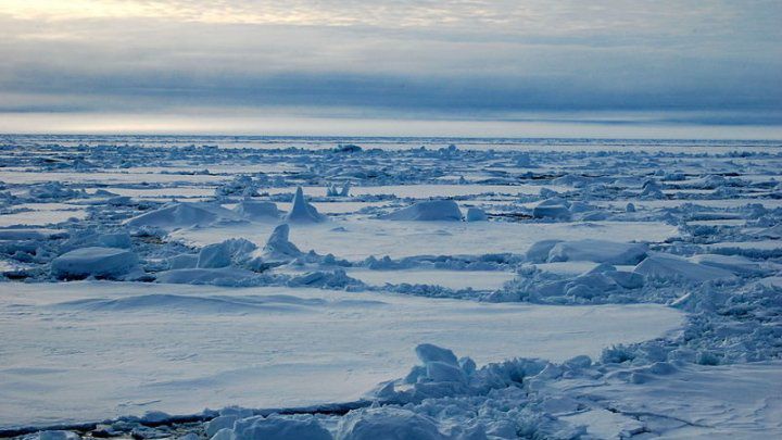 Topirea gheţurilor din Groenlanda şi Antarctica va avea urmări dramatice